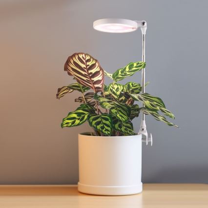 LED Интериорна лампа за отглеждане на растения LED/10W/5V 3200K