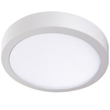 LED Лампа CARSA LED/24W/230V 4000K бяла Ø 30 см