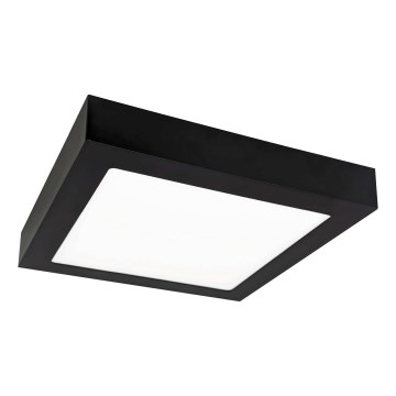 LED Лампа FENIX LED/18W/230V 2800K 22,5 cm