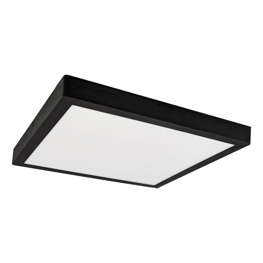 LED Лампа FENIX LED/24W/230V 3800K 29.8 см