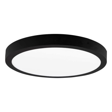 LED Лампа FENIX LED/24W/230V 3800K Ø 29.8 см