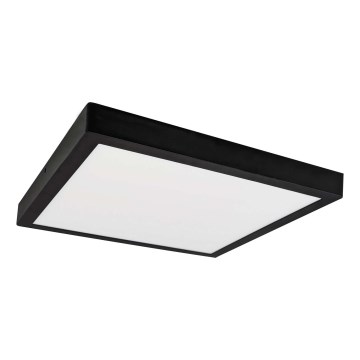 LED Лампа FENIX LED/32W/230V 3800K 40 см