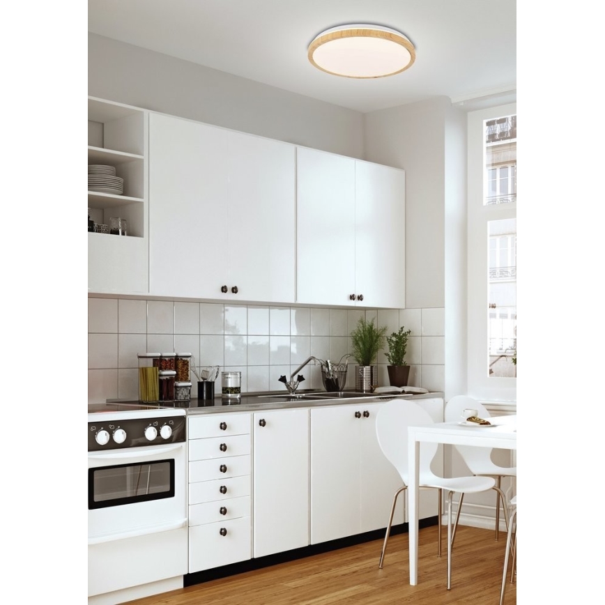 LED Лампа GANDAVA LED/24W/230V