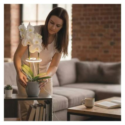 LED лампа с регулируема яркост за вътрешно отглеждане на растения GROW LED/8W/5V