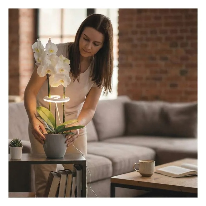 LED лампа с регулируема яркост за вътрешно отглеждане на растения GROW LED/8W/5V