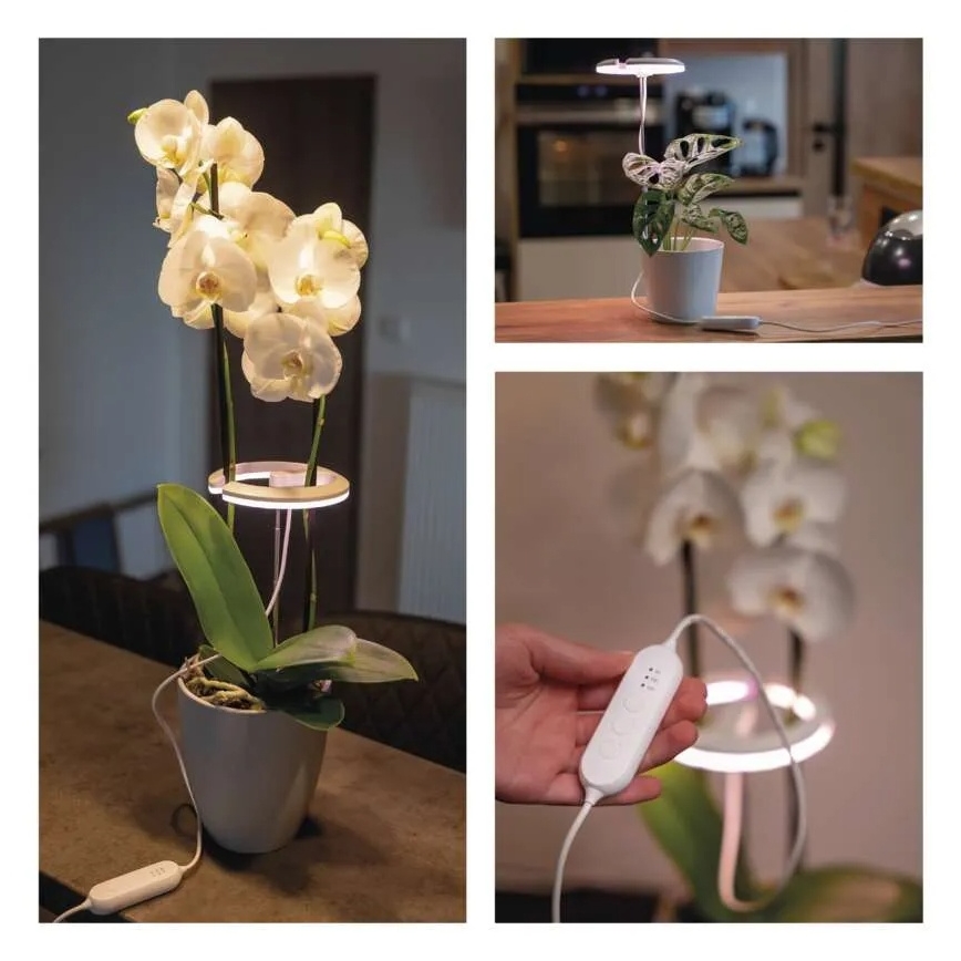 LED лампа с регулируема яркост за вътрешно отглеждане на растения GROW LED/8W/5V