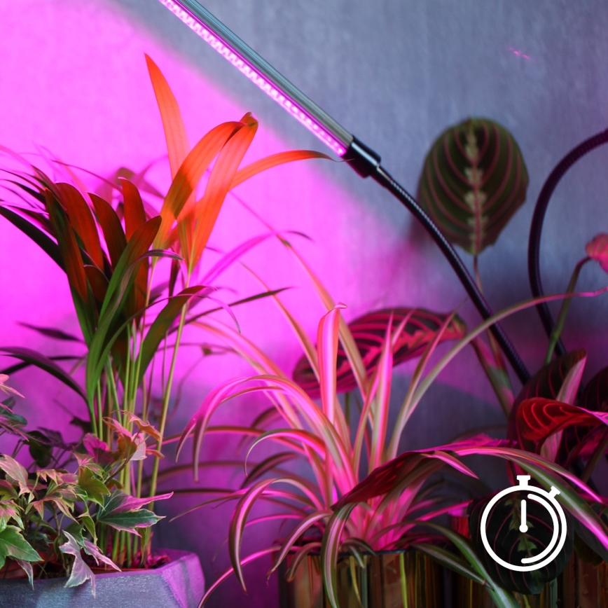 LED регулируема гъвкава настолна лампа с клипс за отглеждане на растения VITARO 4xLED/10W/230V черна