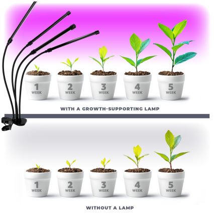 LED регулируема гъвкава настолна лампа с клипс за отглеждане на растения VITARO 4xLED/10W/230V черна