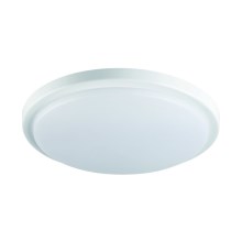 LED Лампа за баня ORTE LED/18W/230V IP54
