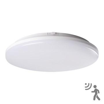 LED Лампа за баня със сензор STIVI LED/24W/230V IP65