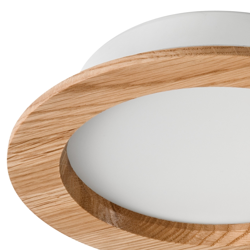 LED Лампа за окачен таван WOODY SPOT LED/16,5W/230V 4000K дъб ø 18,5 см