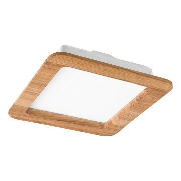 LED Лампа за окачен таван WOODY SPOT LED/17W/230V 3000K дъб 18,5x18,5 см
