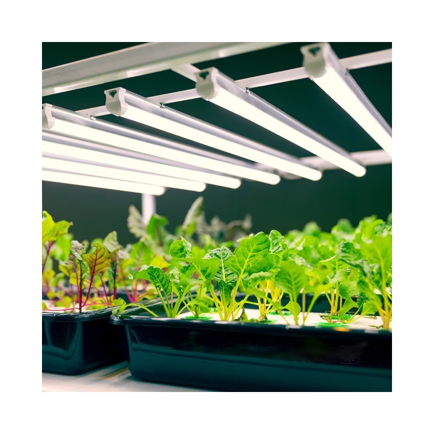 LED Лампа за под кухненски шкаф за отглеждане на растения GROWLY LED/9W/230V бял