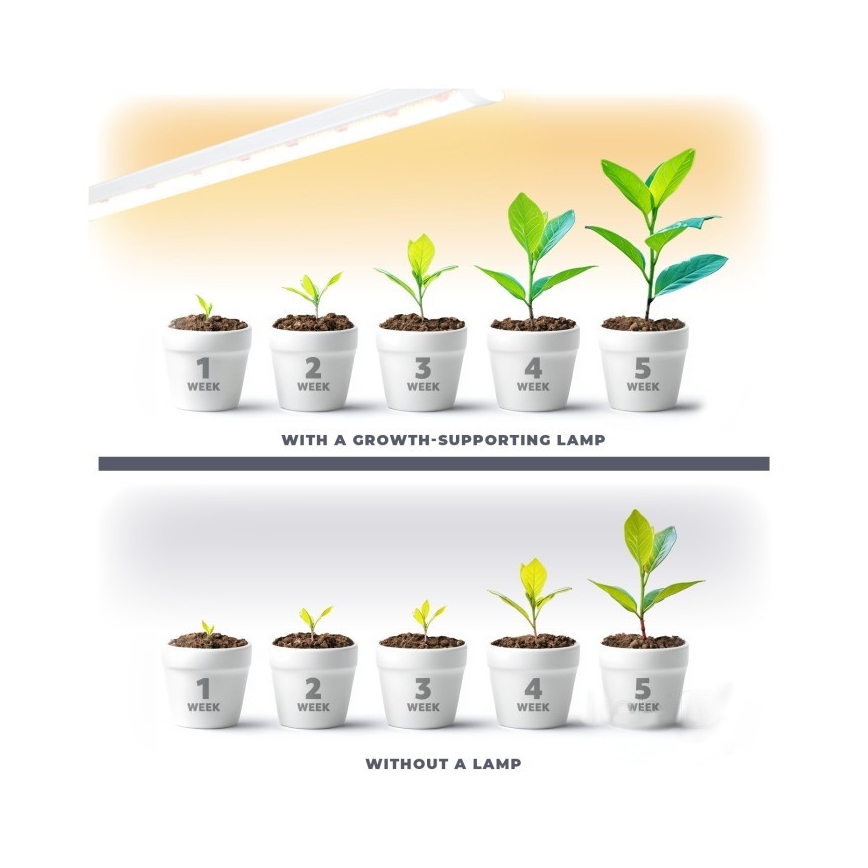 LED Лампа за под кухненски шкаф за отглеждане на растения GROWLY LED/9W/230V бял
