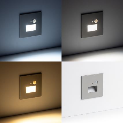 LED Лампа за стълбище със сензор за движение LED/1,5W/230V 3000K/4000K/6500K