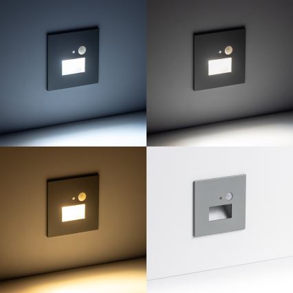 LED Лампа за стълбище със сензор за движение LED/1,5W/230V 3000K/4000K/6500K