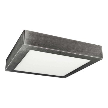 LED Лампа за таван FENIX LED/24W/230V 3800K 29,8 см