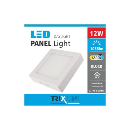 LED Лампа за таван LED/12W/230V 6500K