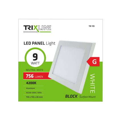 LED Лампа за таван LED/9W/230V 4200K