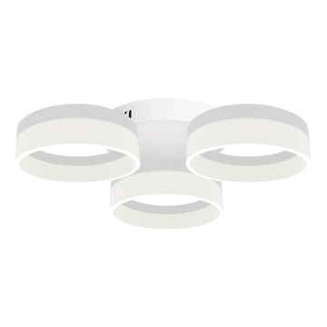 LED Лампа за таван RING 3xLED/12W/230V бяла