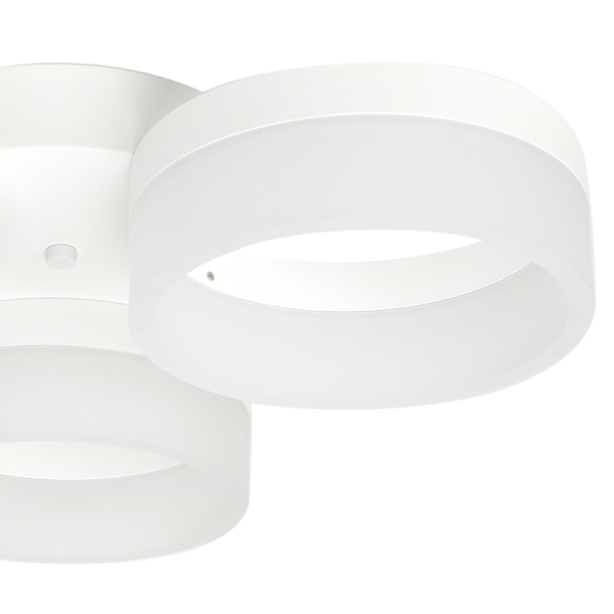 LED Лампа за таван RING 3xLED/12W/230V бяла