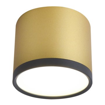 LED Лампа за таван TUBA LED/9W/230V