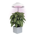 LED лампа за вътрешно отглеждане на растения GROW LED/5W/5V