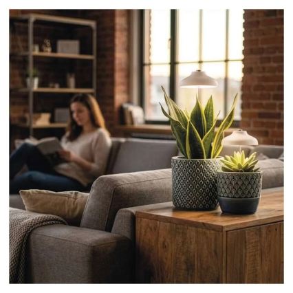 LED лампа за вътрешно отглеждане на растения GROW LED/5W/5V