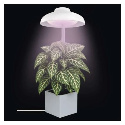LED лампа за вътрешно отглеждане на растения GROW LED/5W/5V