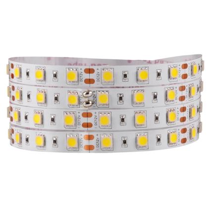 LED Лента 5m LED/10W/12V IP20 бял