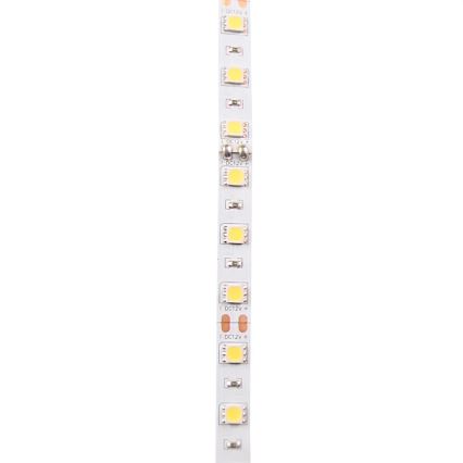 LED Лента 5m LED/10W/12V IP20 бял