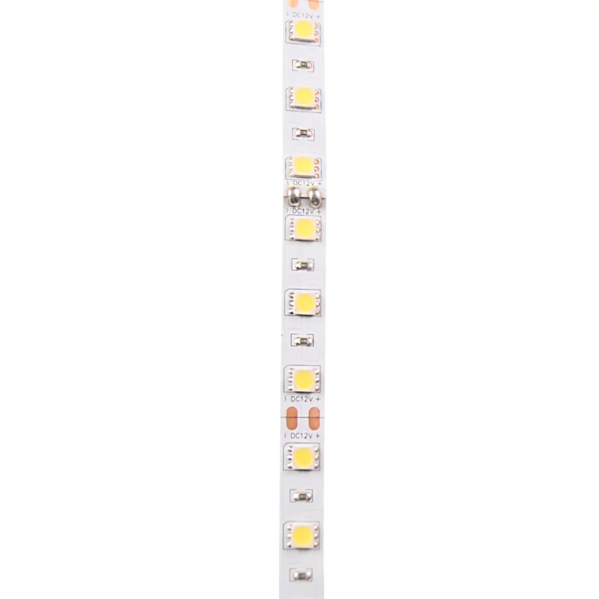 LED Лента 5m LED/10W/12V IP20 бял