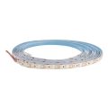 LED Лента DAISY 5м студено бяла