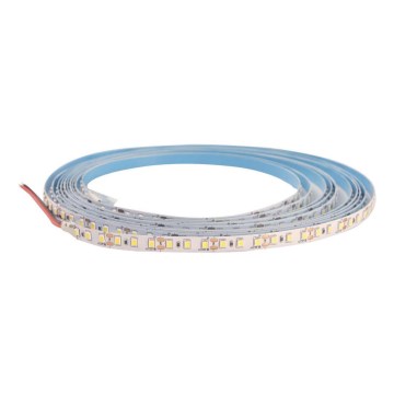 LED Лента DAISY 5м студено бяла