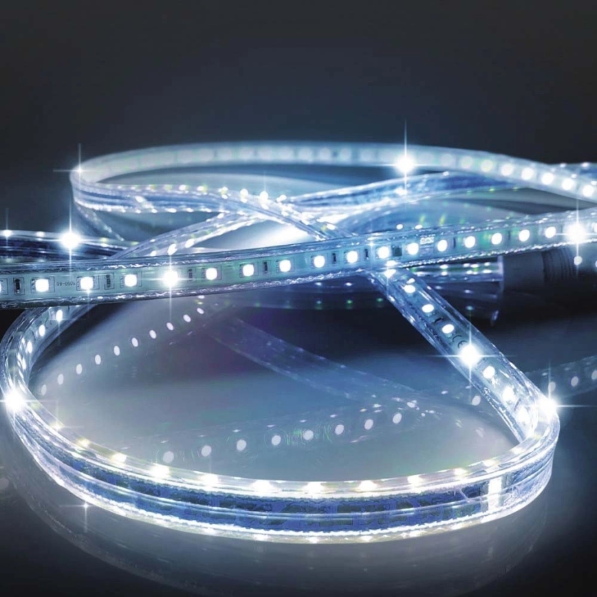 LED Лента EASY CONNECT LED/14,4W/230V 3m IP67 син