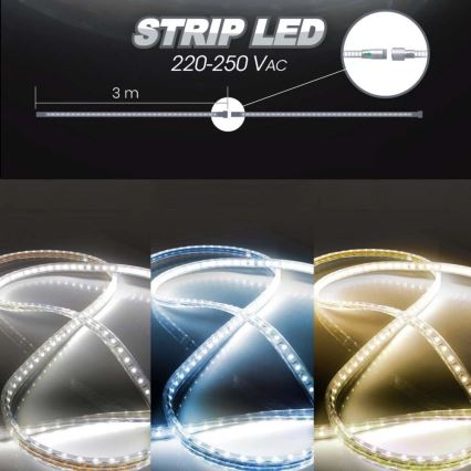 LED Лента EASY CONNECT LED/14,4W/230V 3m IP67 син