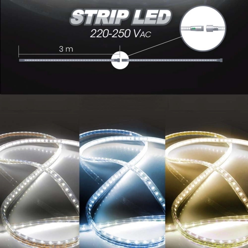 LED Лента EASY CONNECT LED/14,4W/230V 3m IP67 син