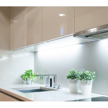 LED лента TRAMO LED/500W/12V 50m 6500K