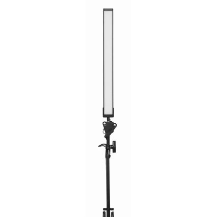 LED Настолна лампа с щипка LED/10W/230V 2800-6800K