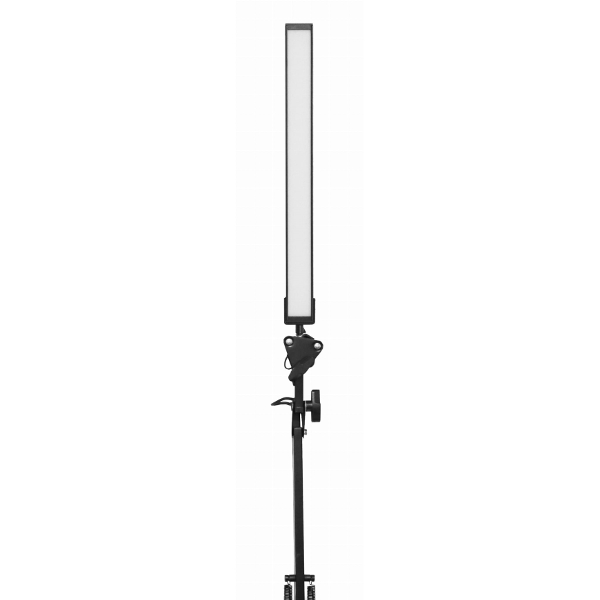 LED Настолна лампа с щипка LED/10W/230V 2800-6800K