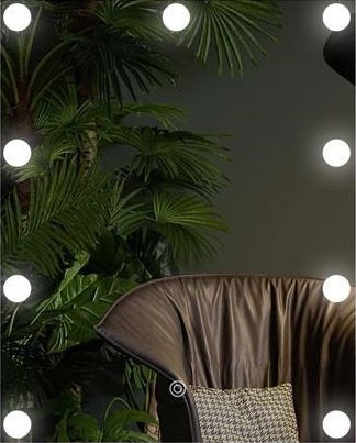 LED огледало с осветление 9xLED/1W/230V 3000/4000/6000K 50x40 см IP44