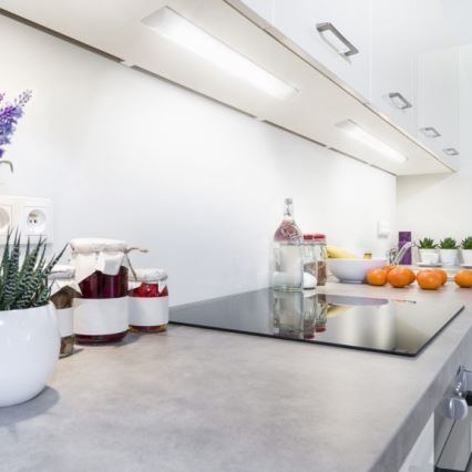 LED осветително тяло VIGA за монтаж под шкаф LED/14W/230V 3000K бяло