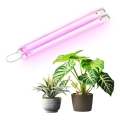 LED осветително тяло за отглеждане на растения GROWLY 2xLED/8,5W/230V бяло