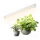 LED осветително тяло за отглеждане на растения GROWLY LED/9W/230V бяло