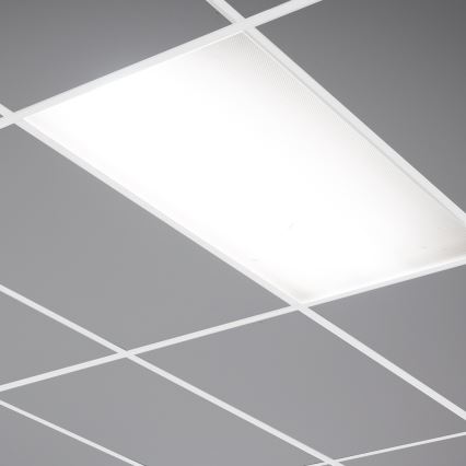 LED панел LED/24W/230V 4000K