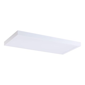 LED Панел LED/36W/230V 4000K 30x60 см бял