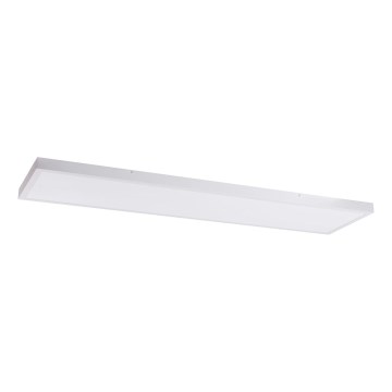 LED Панел LED/60W/230V 4000K 30x120 см бял