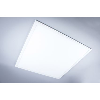 LED Панел за повърхностен монтаж в баня LED/40W/230V 4000K 59,5x59,5 см IP65 бял