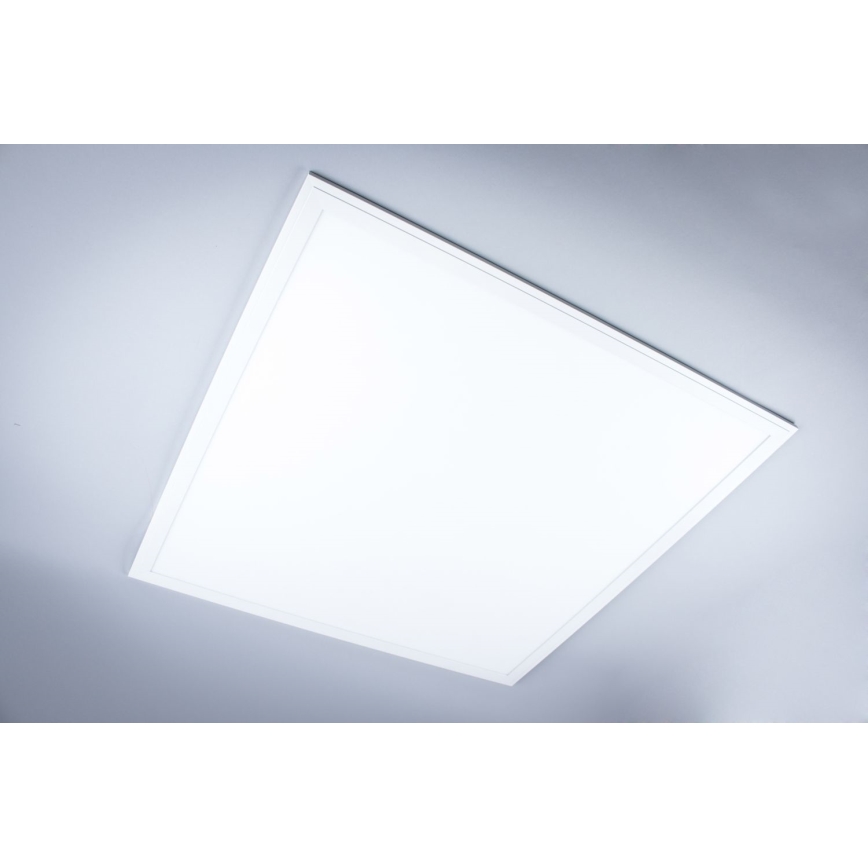 LED Панел за повърхностен монтаж в баня LED/40W/230V 4000K 59,5x59,5 см IP65 бял