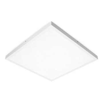 LED Панел за повърхностен монтаж BRISBANE LED/36W/230V 4000K 59,5x59,5 см бял